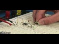 The Solderless Breadboard